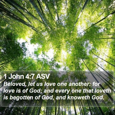 1 John 4:7 ASV Bible Verse Image