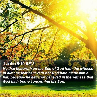 1 John 5:10 ASV Bible Verse Image