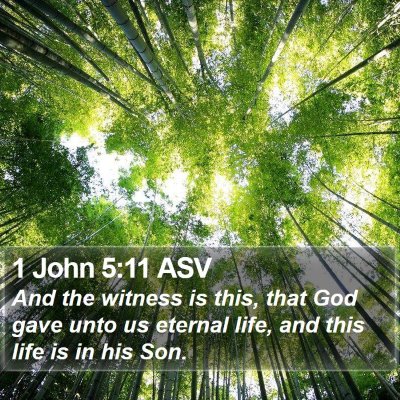 1 John 5:11 ASV Bible Verse Image