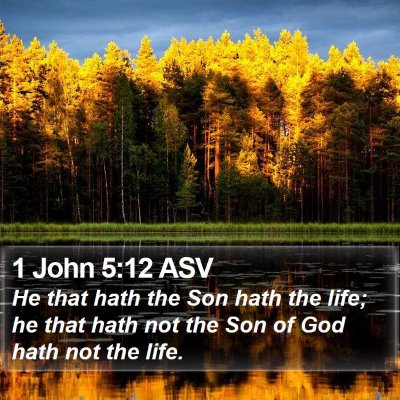 1 John 5:12 ASV Bible Verse Image
