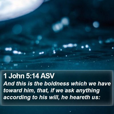 1 John 5:14 ASV Bible Verse Image