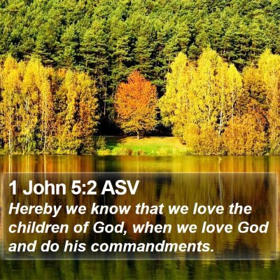 1 John 5:2 ASV Bible Verse Image
