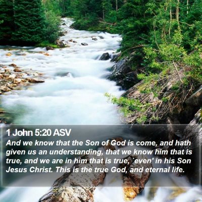 1 John 5:20 ASV Bible Verse Image