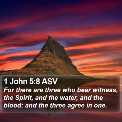 1 John 5:8 ASV Bible Verse Image