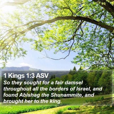 1 Kings 1:3 ASV Bible Verse Image