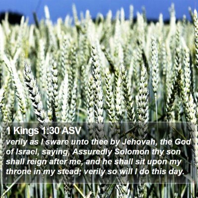 1 Kings 1:30 ASV Bible Verse Image