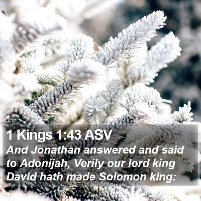 1 Kings 1:43 ASV Bible Verse Image
