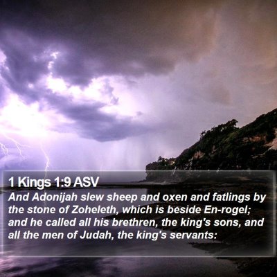 1 Kings 1:9 ASV Bible Verse Image