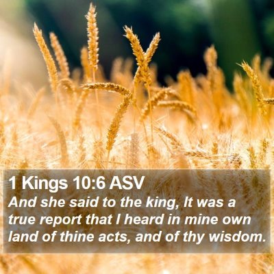 1 Kings 10:6 ASV Bible Verse Image