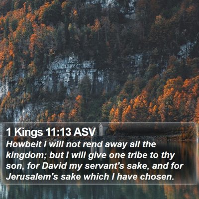 1 Kings 11:13 ASV Bible Verse Image