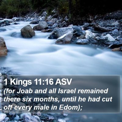 1 Kings 11:16 ASV Bible Verse Image