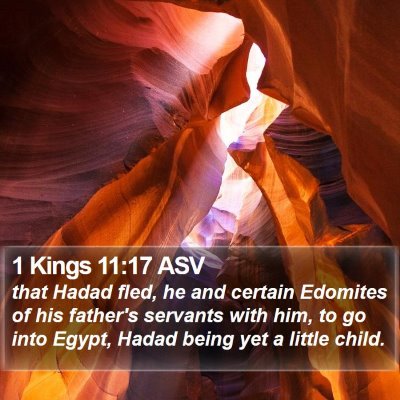 1 Kings 11:17 ASV Bible Verse Image