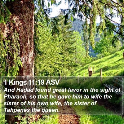 1 Kings 11:19 ASV Bible Verse Image