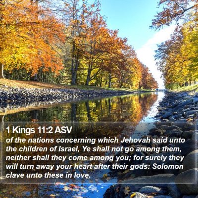 1 Kings 11:2 ASV Bible Verse Image