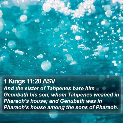 1 Kings 11:20 ASV Bible Verse Image