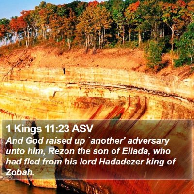 1 Kings 11:23 ASV Bible Verse Image