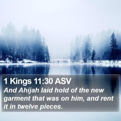 1 Kings 11:30 ASV Bible Verse Image
