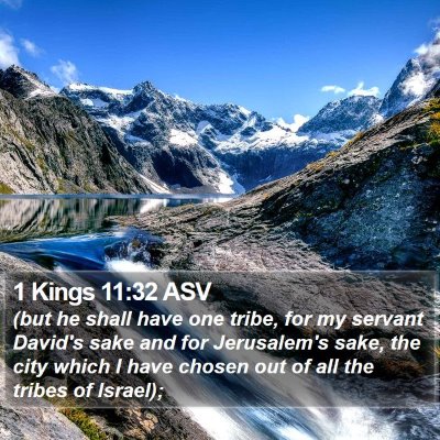 1 Kings 11:32 ASV Bible Verse Image