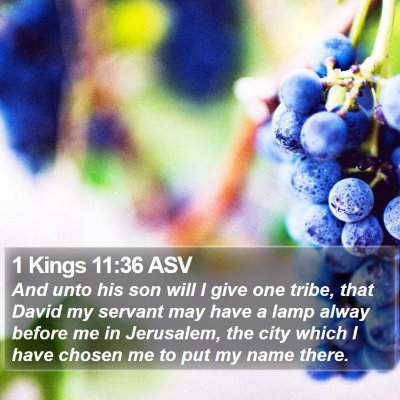 1 Kings 11:36 ASV Bible Verse Image