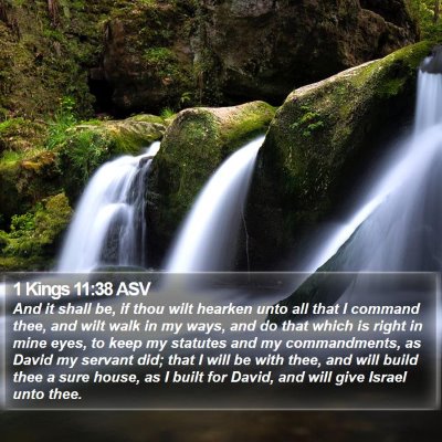 1 Kings 11:38 ASV Bible Verse Image