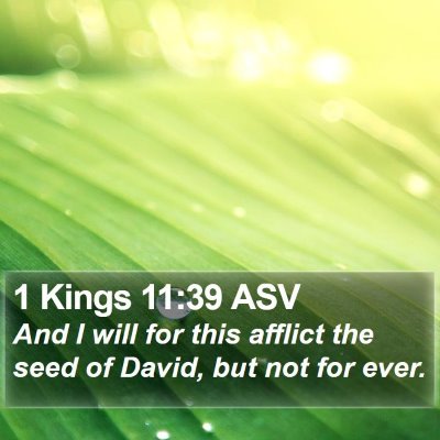 1 Kings 11:39 ASV Bible Verse Image