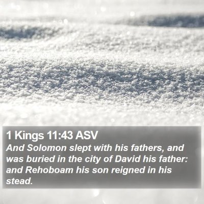 1 Kings 11:43 ASV Bible Verse Image