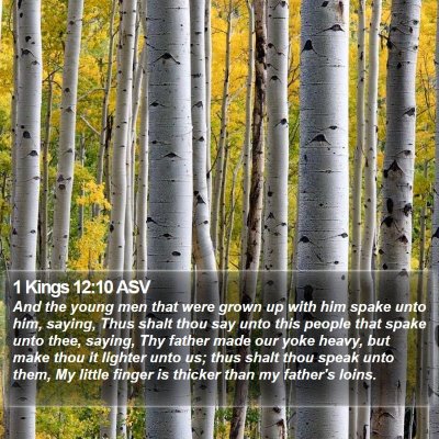 1 Kings 12:10 ASV Bible Verse Image