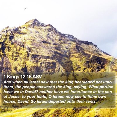 1 Kings 12:16 ASV Bible Verse Image