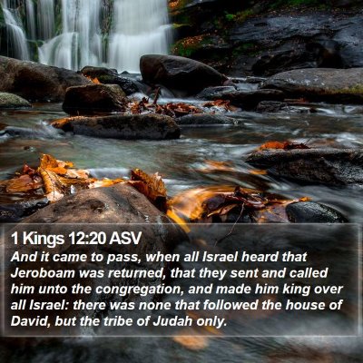 1 Kings 12:20 ASV Bible Verse Image