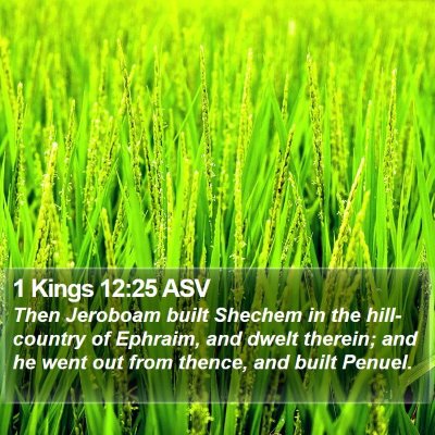 1 Kings 12:25 ASV Bible Verse Image