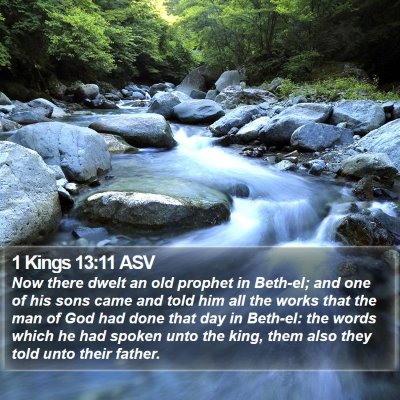 1 Kings 13:11 ASV Bible Verse Image