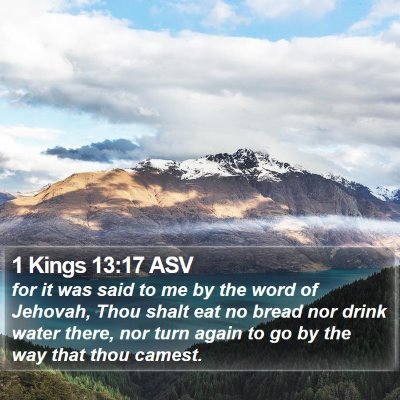 1 Kings 13:17 ASV Bible Verse Image