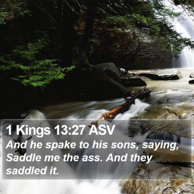 1 Kings 13:27 ASV Bible Verse Image