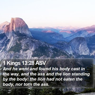 1 Kings 13:28 ASV Bible Verse Image