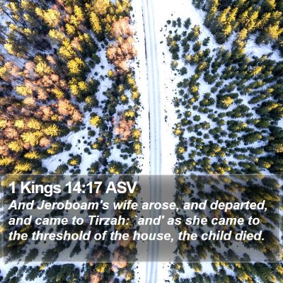 1 Kings 14:17 ASV Bible Verse Image