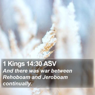 1 Kings 14:30 ASV Bible Verse Image
