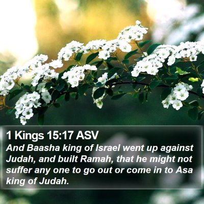 1 Kings 15:17 ASV Bible Verse Image