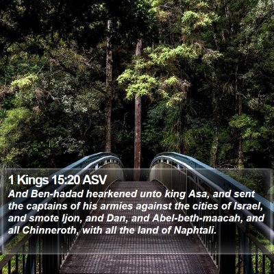 1 Kings 15:20 ASV Bible Verse Image