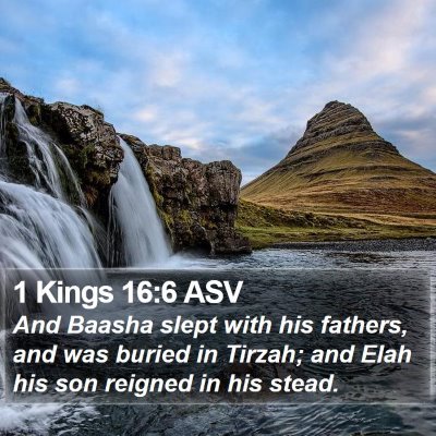 1 Kings 16:6 ASV Bible Verse Image