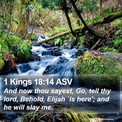1 Kings 18:14 ASV Bible Verse Image