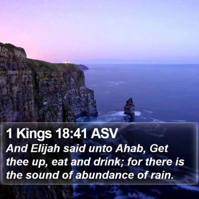 1 Kings 18:41 ASV Bible Verse Image