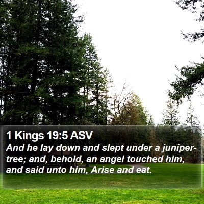 1 Kings 19:5 ASV Bible Verse Image