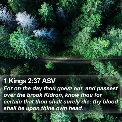 1 Kings 2:37 ASV Bible Verse Image