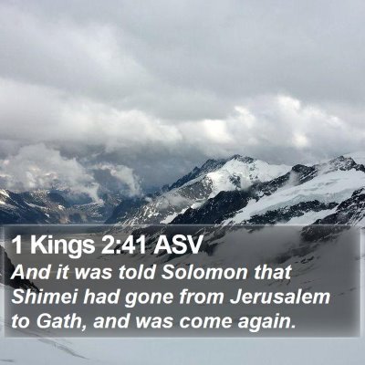 1 Kings 2:41 ASV Bible Verse Image