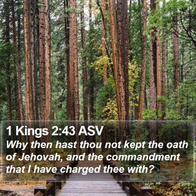 1 Kings 2:43 ASV Bible Verse Image