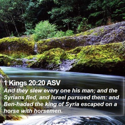 1 Kings 20:20 ASV Bible Verse Image