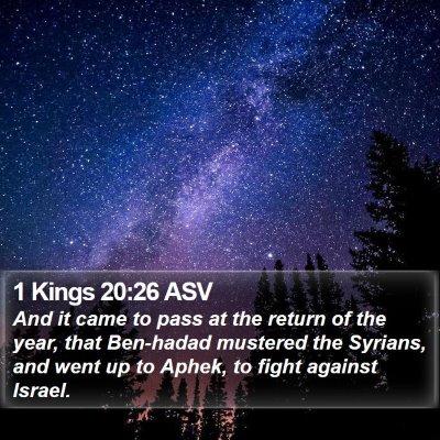 1 Kings 20:26 ASV Bible Verse Image