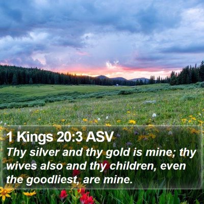 1 Kings 20:3 ASV Bible Verse Image