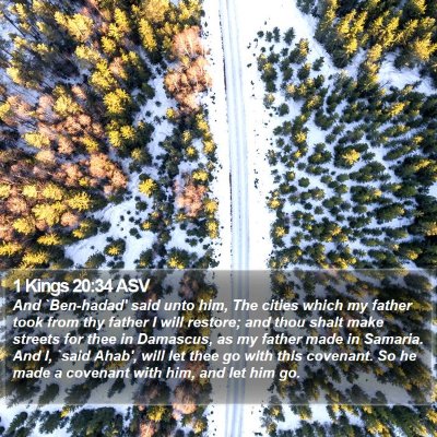 1 Kings 20:34 ASV Bible Verse Image