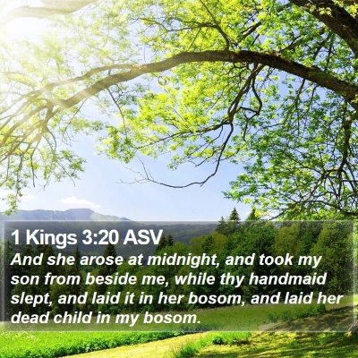 1 Kings 3:20 ASV Bible Verse Image